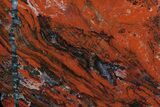 Polished Tiger Iron Stromatolite - ( Billion Years) #76119-1